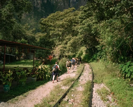 Machu Picchu Tour by Bus 3 Days: A Full Day at the Citadel, Without the Train Fare