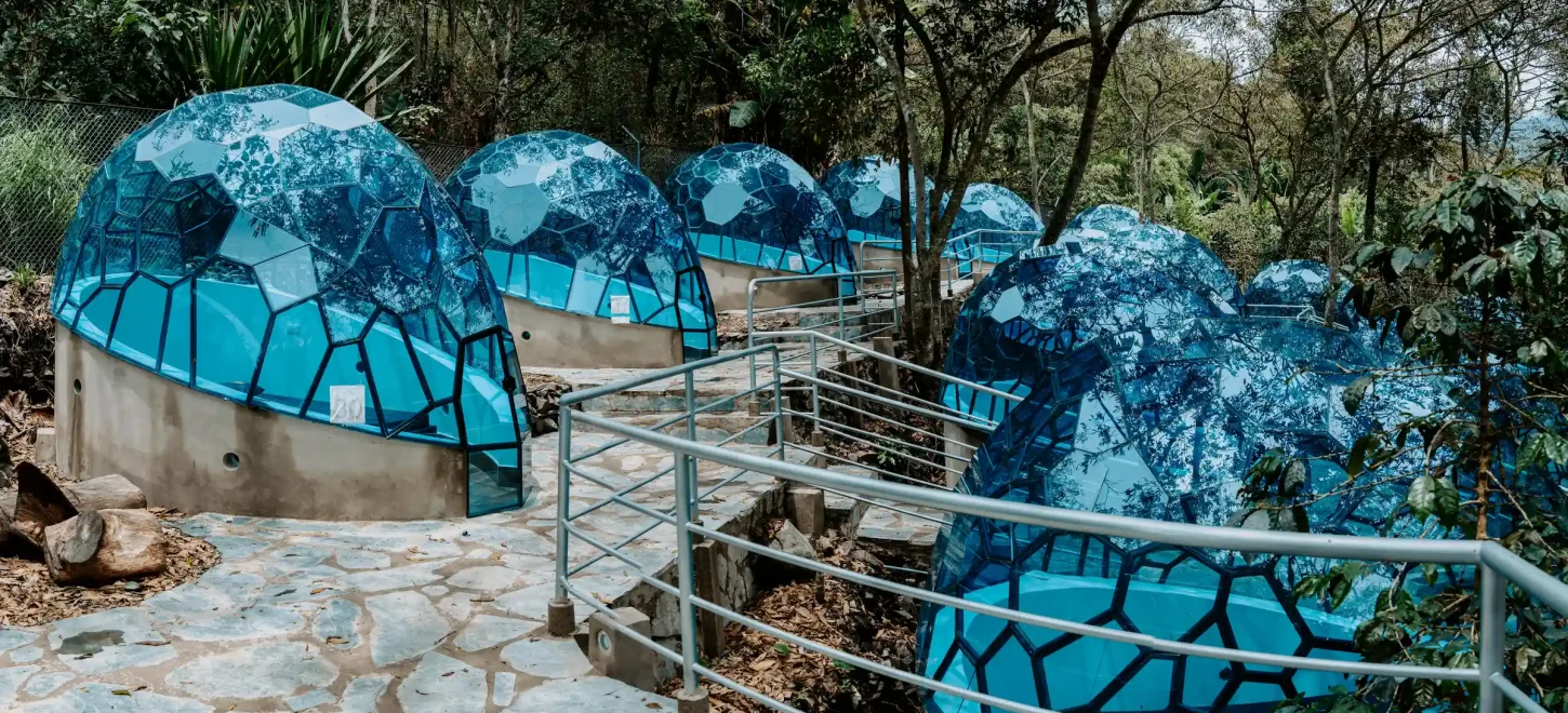 SALKANTAY TREK 3 DAYS TO MACHU PICCHU SALKANTAY TREK 3 DAYS TO MACHU PICCHU
