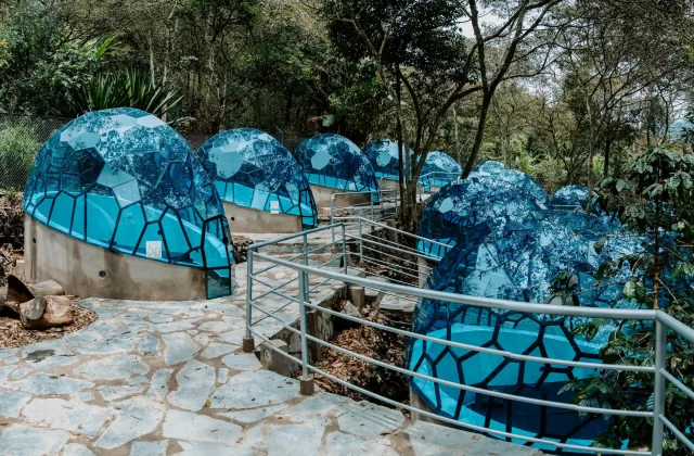 SALKANTAY TREK 4 DAYS TO MACHU PICCHU VIA LLACTAPATA