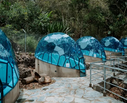 SALKANTAY TREK 4 DAYS TO MACHU PICCHU VIA LLACTAPATA: All the Highlights in Less Time