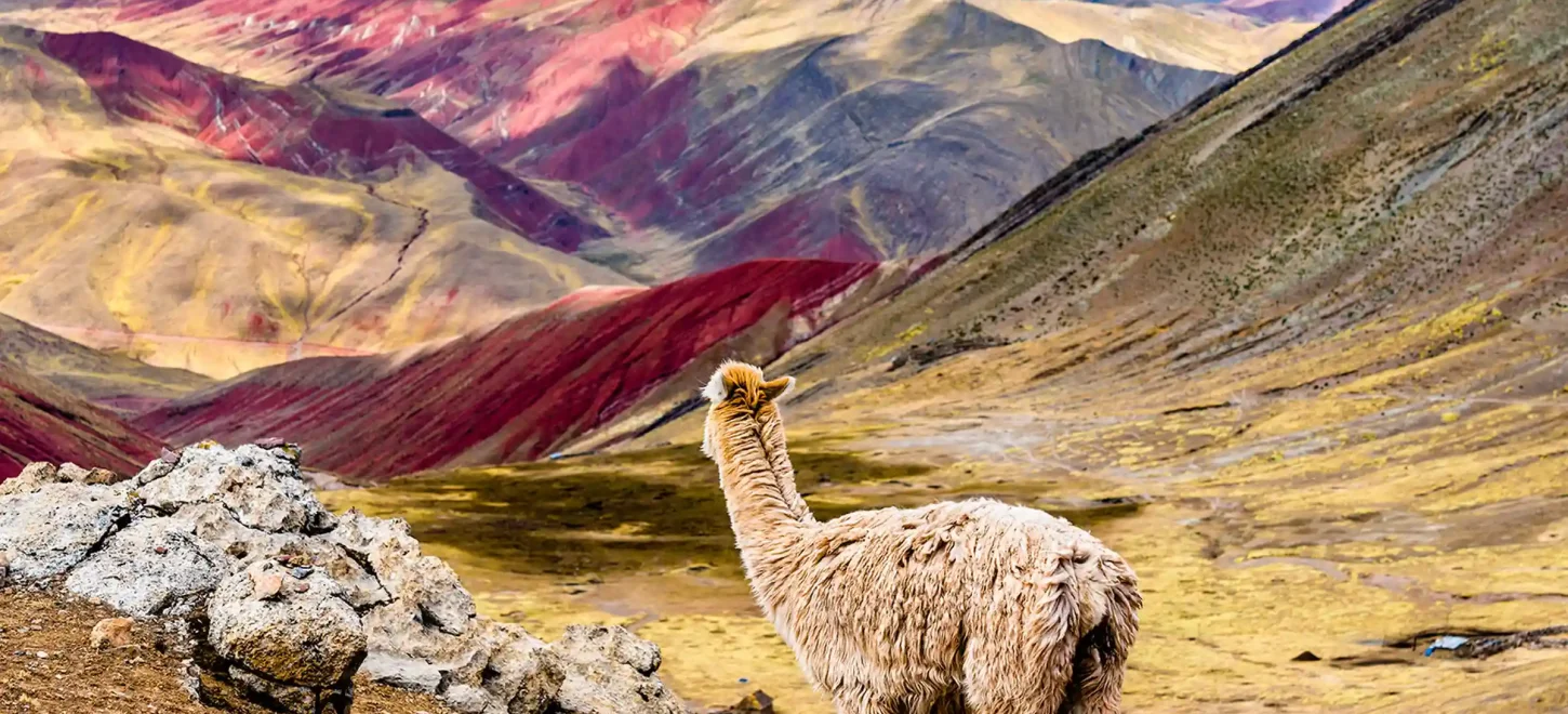 Rainbow Mountain Full Day Tour from Cusco — Vinicunca & Red Valley Rainbow Mountain Full Day Tour from Cusco — Vinicunca & Red Valley