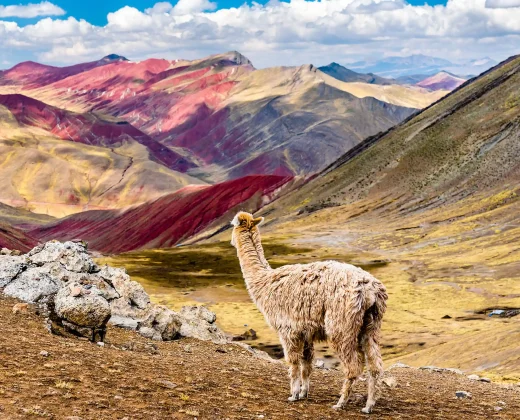 PALCOYO TOUR FULL DAY FROM CUSCO: Three Rainbow Mountains, Almost No Hiking