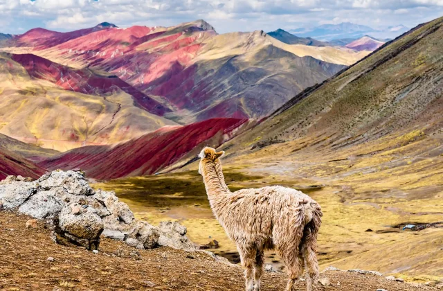 Rainbow Mountain Full Day Tour from Cusco — Vinicunca & Red Valley