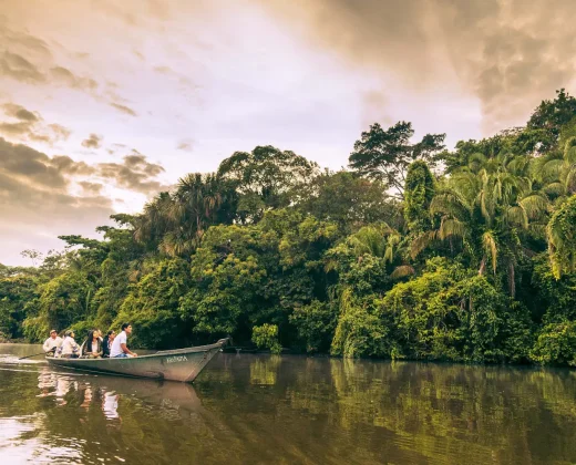 Sandoval Lake Full Day Tour from Puerto Maldonado: The Amazon in One Day