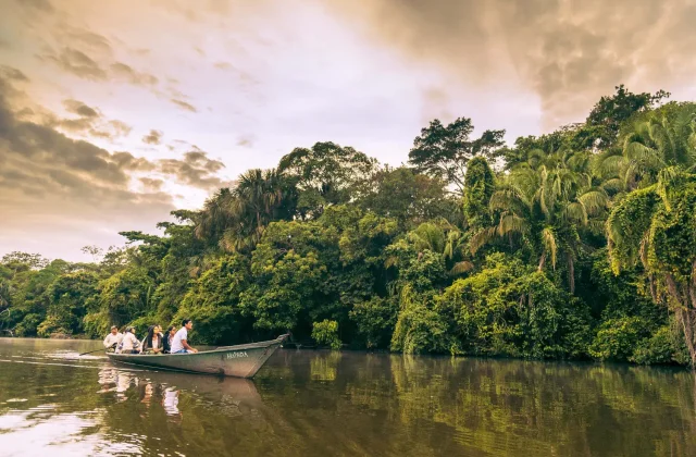 TAMBOPATA NATIONAL RESERVE 2 DAYS TOUR | SANDOVAL LAKE & CHUNCHO MACAW CLAY LICK