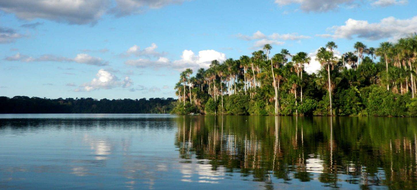 TAMBOPATA NATIONAL RESERVE 2 DAYS TOUR | SANDOVAL LAKE & CHUNCHO MACAW CLAY LICK