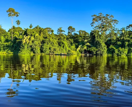 MANU NATIONAL PARK RESERVED ZONE TOUR 6 DAYS