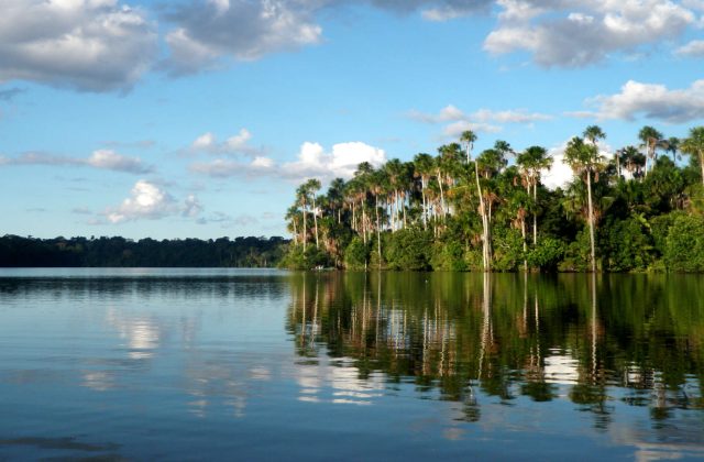 TAMBOPATA NATIONAL RESERVE 2 DAYS TOUR | SANDOVAL LAKE & CHUNCHO MACAW CLAY LICK