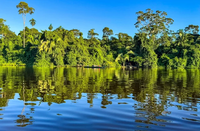 TAMBOPATA NATIONAL RESERVE 2 DAYS TOUR | SANDOVAL LAKE & CHUNCHO MACAW CLAY LICK
