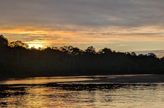 MANU RESERVED ZONE TOUR 5 DAYS | AMAZON RAINFOREST FROM CUSCO