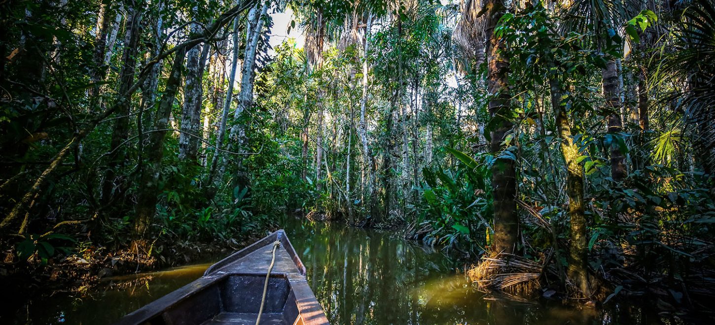 TAMBOPATA NATIONAL RESERVE 4 DAYS TOUR: Sandoval Lake, the Chuncho Clay Lick and Monkey Island TAMBOPATA NATIONAL RESERVE 4 DAYS TOUR: Sandoval Lake, the Chuncho Clay Lick and Monkey Island
