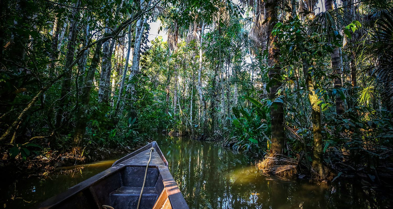 SANDOVAL LAKE FULL DAY TOUR: Monkeys, Caimans and Birdlife in a Single Day