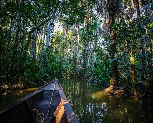 SANDOVAL LAKE FULL DAY TOUR PUERTO MALDONADO