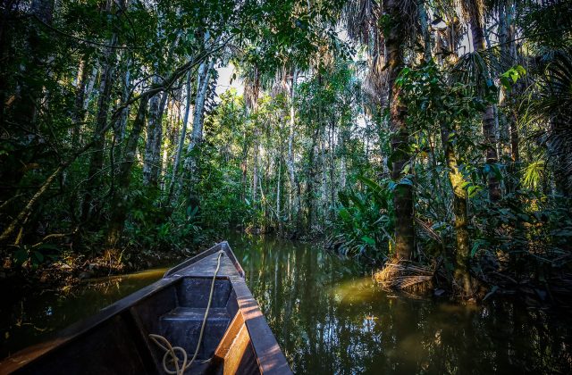 TAMBOPATA NATIONAL RESERVE 2 DAYS TOUR | SANDOVAL LAKE & CHUNCHO MACAW CLAY LICK