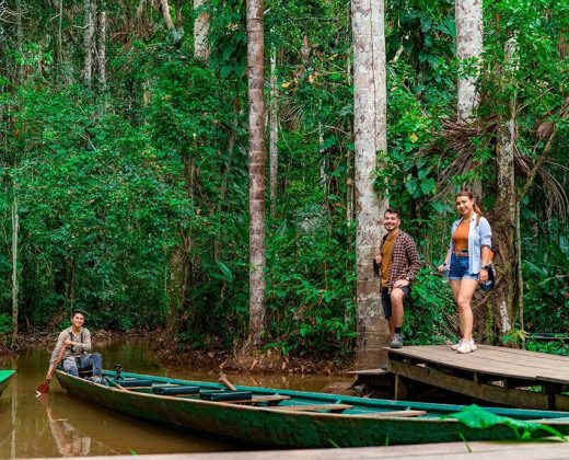 Sandoval Lake Full Day Tour from Puerto Maldonado: The Amazon in One Day