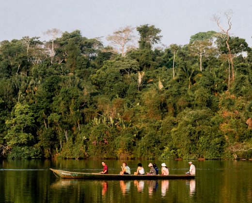 Sandoval Lake Full Day Tour from Puerto Maldonado: The Amazon in One Day