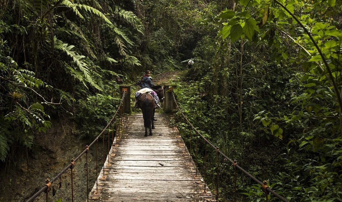 GOCTA WATERFALL FULL DAY TOUR GOCTA WATERFALL FULL DAY TOUR