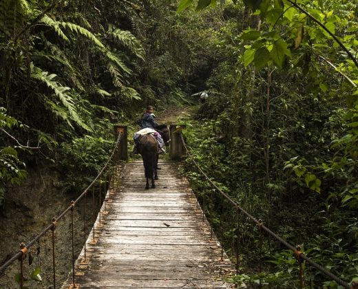 GOCTA WATERFALL FULL DAY TOUR: Discover One of Peru’s Most Spectacular Waterfalls