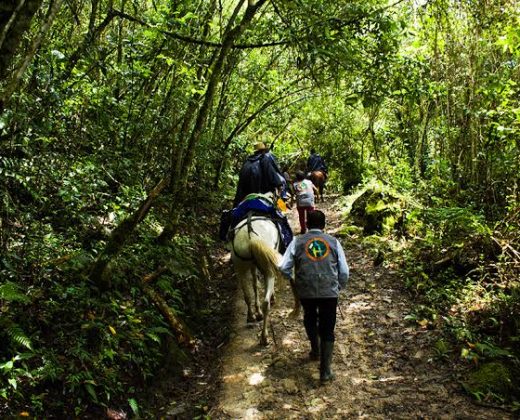 GOCTA WATERFALL FULL DAY TOUR: Discover One of Peru’s Most Spectacular Waterfalls