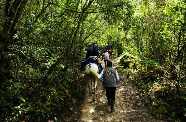 GOCTA WATERFALL FULL DAY TOUR