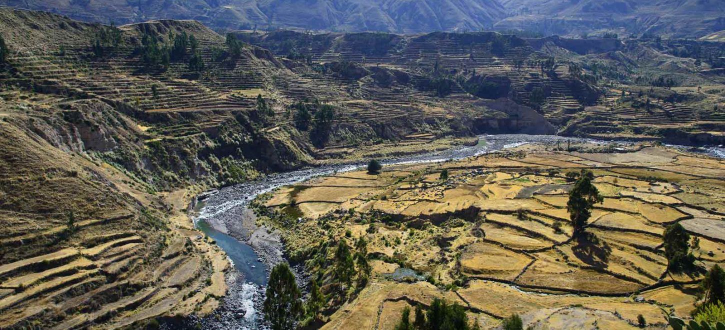 COLCA CANYON TREK 3 DAYS FROM AREQUIPA COLCA CANYON TREK 3 DAYS FROM AREQUIPA