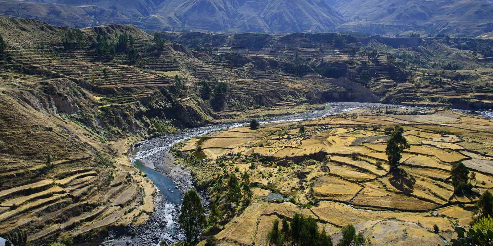 COLCA CANYON TREK 3 DAYS FROM AREQUIPA: Explore the Canyon at a Relaxed Pace
