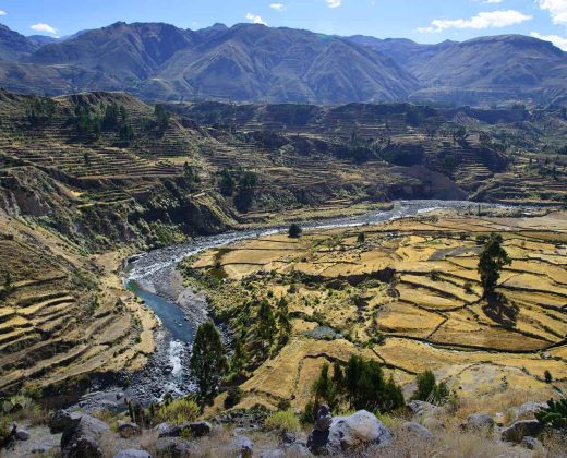 COLCA CANYON TREK 3 DAYS FROM AREQUIPA