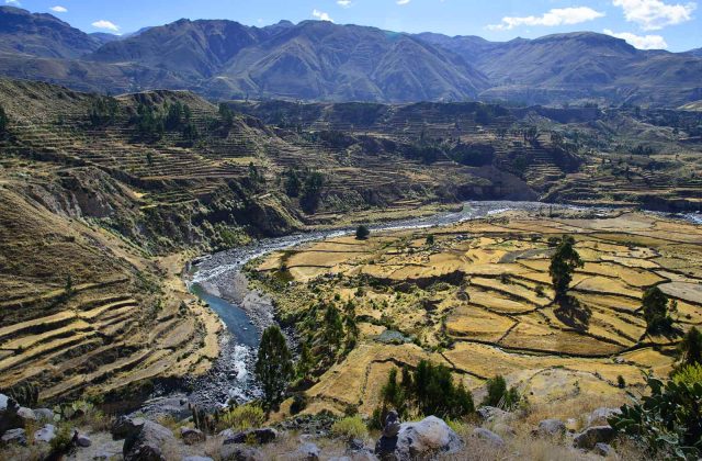 COLCA CANYON FULL-DAY TOUR FROM AREQUIPA