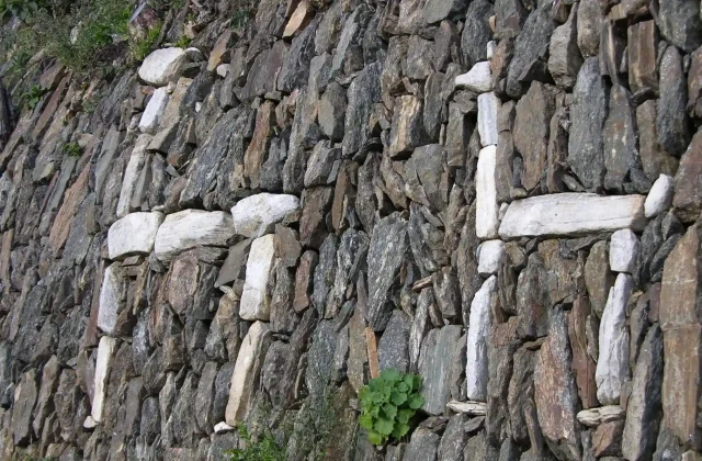 choquequirao-llama-sector-peru