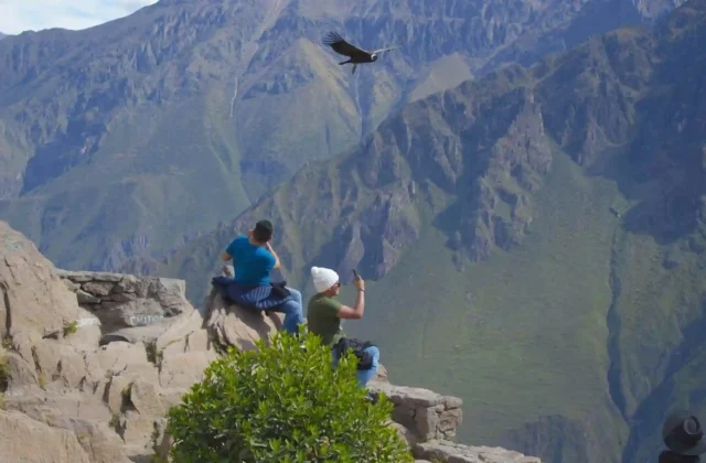 colca-canyon-peru