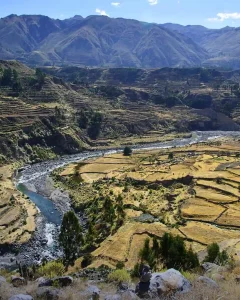 COLCA CANYON TREK 3 DAYS FROM AREQUIPA: Explore the Canyon at a Relaxed Pace