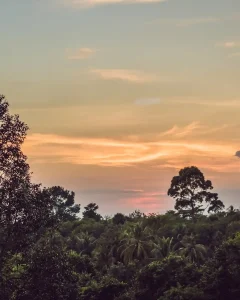 TAMBOPATA NATIONAL RESERVE 3 DAYS TOUR: Sandoval Lake, the Chuncho Clay Lick and Time to Enjoy Both