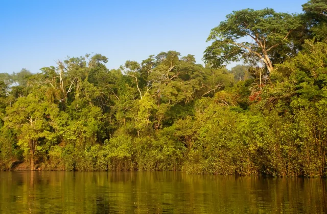 river-beautiful-trees-rainforest-peru (1)