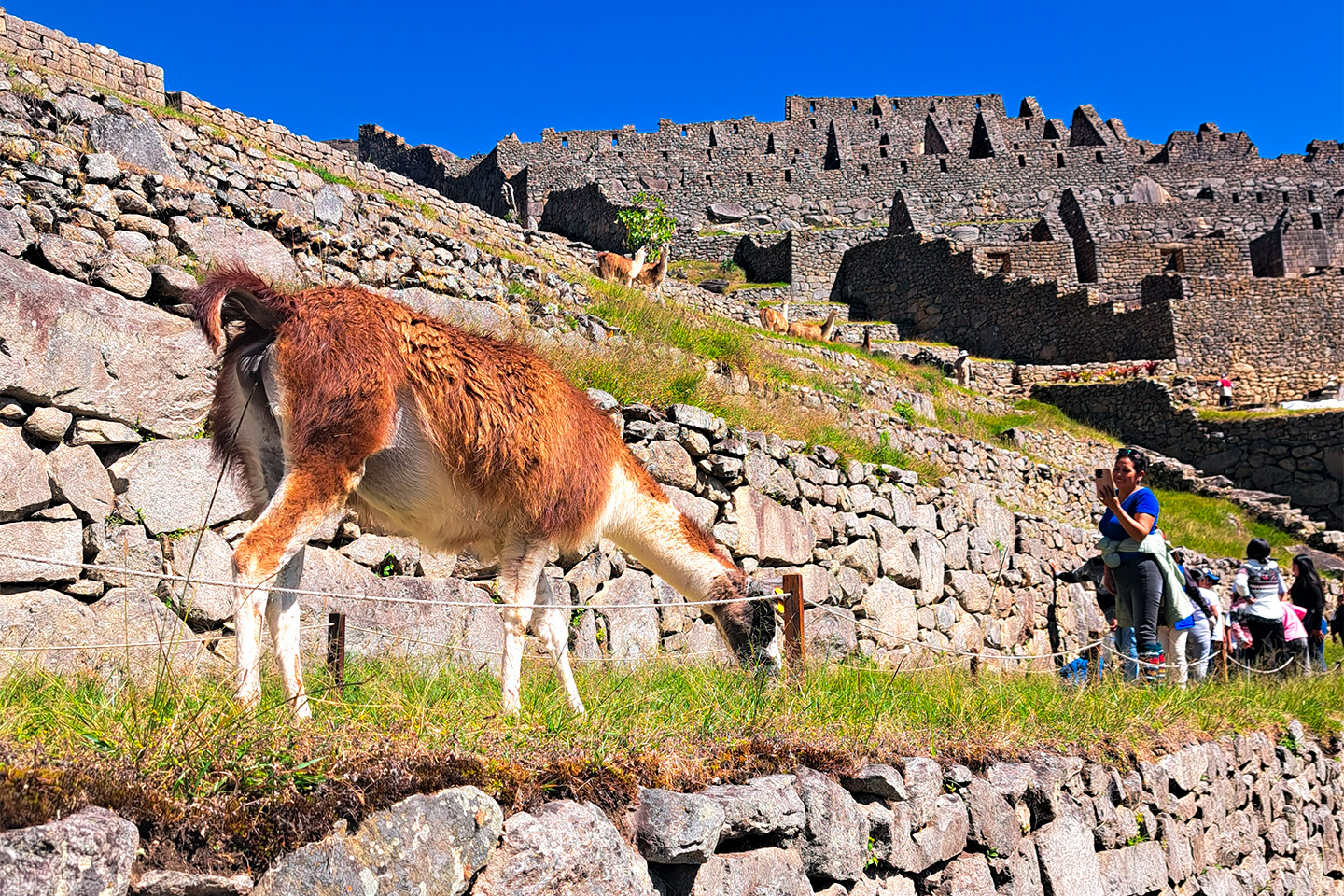Peru Tour Packages travel planning